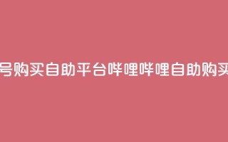 哔哩哔哩小号购买自助平台(哔哩哔哩自助购买平台)