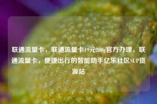 联通流量卡，联通流量卡19元200g官方办理，联通流量卡，便捷出行的智能助手亿乐社区SUP货源站