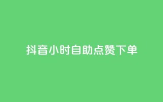 抖音24小时自助点赞下单 - 抖音24小时快速自助点赞服务，轻松点亮你的视频~
