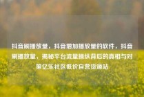 抖音刷播放量，抖音增加播放量的软件，抖音刷播放量，揭秘平台流量操纵背后的真相与对策亿乐社区低价自营货源站