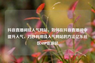抖音直播间挂人气网站，如何在抖音直播间中提升人气，巧妙利用挂人气网站的方法亿乐社区SUP货源站