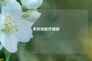 未找到医疗保险