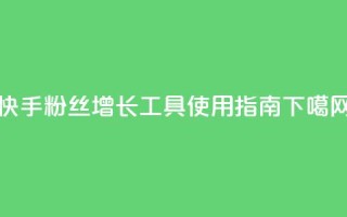 快手粉丝增长工具使用指南