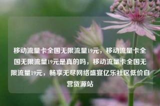 移动流量卡全国无限流量19元，移动流量卡全国无限流量19元是真的吗，移动流量卡全国无限流量19元，畅享无尽网络盛宴亿乐社区低价自营货源站
