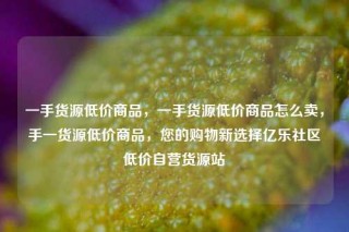 一手货源低价商品，一手货源低价商品怎么卖，手一货源低价商品，您的购物新选择亿乐社区低价自营货源站