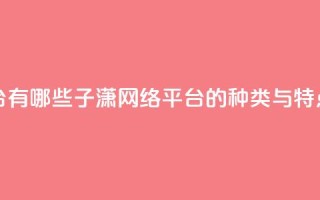 子潇网络平台有哪些 - 子潇网络平台的种类与特点解析!