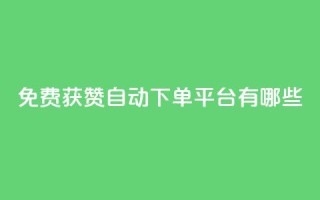 免费获赞自动下单平台有哪些 - 免费获赞自动下单：多种平台供选择!