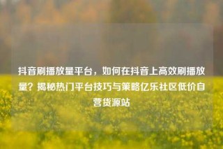 抖音刷播放量平台，如何在抖音上高效刷播放量？揭秘热门平台技巧与策略亿乐社区低价自营货源站