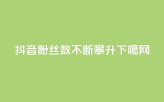 抖音粉丝数不断攀升