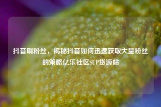 抖音刷粉丝，揭秘抖音如何迅速获取大量粉丝的策略亿乐社区SUP货源站