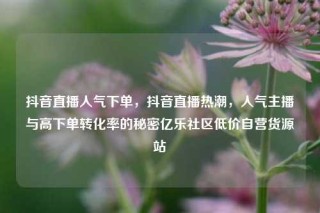 抖音直播人气下单，抖音直播热潮，人气主播与高下单转化率的秘密亿乐社区低价自营货源站