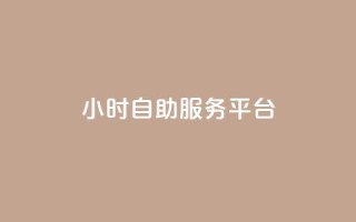 24小时自助服务平台,快手热门推广 - 彩虹卡盟对接货源社区 - 买点赞 自动下单 24小时
