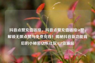 抖音点赞充值链接，抖音点赞充值链接50赞，解锁无限点赞与免费充钱！揭秘抖音新功能背后的小秘密亿乐社区SUP货源站