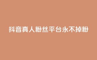 抖音真人粉丝平台 永不掉粉 - 增加社交影响力，稳定粉丝数量营销平台~