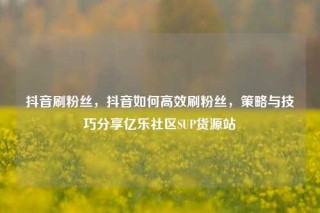 抖音刷粉丝，抖音如何高效刷粉丝，策略与技巧分享亿乐社区SUP货源站