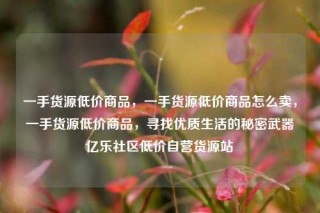 一手货源低价商品，一手货源低价商品怎么卖，一手货源低价商品，寻找优质生活的秘密武器亿乐社区低价自营货源站