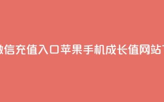 抖币微信充值入口苹果手机 - qqsvip成长值网站
