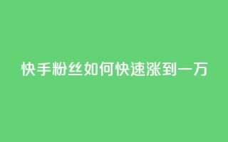 快手粉丝如何快速涨到一万 - 快手粉丝号账号交易平台