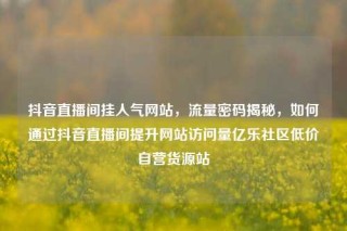 抖音直播间挂人气网站，流量密码揭秘，如何通过抖音直播间提升网站访问量亿乐社区低价自营货源站