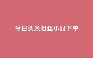 今日头条粉丝24小时下单 - 今日头条粉丝24小时内抢购~