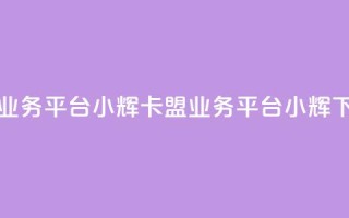卡盟qq业务平台小辉(QQ卡盟业务平台小辉)
