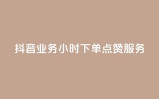 抖音业务24小时下单点赞服务