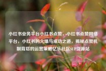 小红书业务平台小红书点赞，小红书点赞网络平台，小红书的火爆与成功之道，揭秘点赞机制背后的运营策略亿乐社区SUP货源站