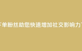 低价下单粉丝，助您快速增加社交影响力