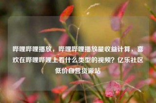 哔哩哔哩播放，哔哩哔哩播放量收益计算，喜欢在哔哩哔哩上看什么类型的视频？亿乐社区低价自营货源站
