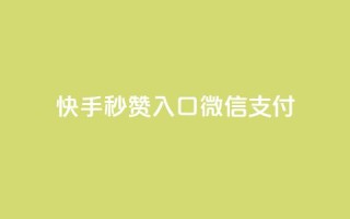 快手秒赞入口微信支付,评论点赞业务 - ks业务24小时在线下单免费 - QQ空间浏览访客购买网站