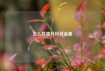 怎么样提升抖音流量