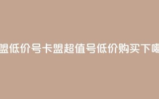 卡盟低价qq号 - 卡盟超值QQ号，低价购买！~