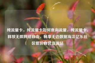 纯流量卡，纯流量卡如何查询流量，纯流量卡，释放无限网络自由，畅享无边数据海洋亿乐社区低价自营货源站