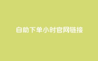 ks自助下单24小时官网链接,抖音点赞充值 - 自动下单软件 - dyks自助平台