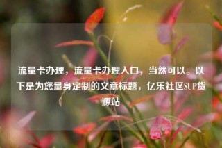 流量卡办理，流量卡办理入口，当然可以。以下是为您量身定制的文章标题，亿乐社区SUP货源站