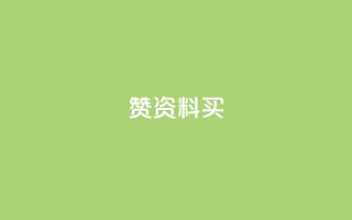 qq赞资料买 - 高质量的QQ赞资料购买指南~