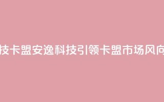 安逸科技2021卡盟 - 安逸科技引领2021卡盟市场风向!