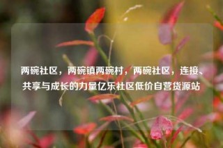 两碗社区，两碗镇两碗村，两碗社区，连接、共享与成长的力量亿乐社区低价自营货源站