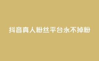抖音真人粉丝平台 永不掉粉,qq空间偷看工具2024 - 抖音点赞清理器 - 快手24小时业务平台