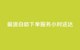 极速自助下单服务24小时送达