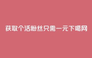 获取1000个活粉丝只需一元
