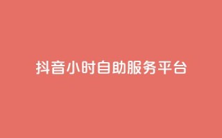 抖音24小时自助服务平台 - 抖音24h自助服务平台