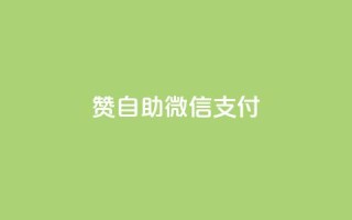 qq赞自助微信支付,qq空间转发在线下单 - 抖音推广怎么做 - 王者荣耀卡盟24小时自动发卡平台