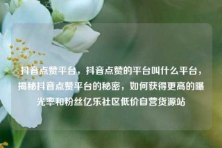 抖音点赞平台，抖音点赞的平台叫什么平台，揭秘抖音点赞平台的秘密，如何获得更高的曝光率和粉丝亿乐社区低价自营货源站