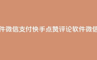 快手点赞评论软件微信支付(快手点赞评论软件，微信支付简介)