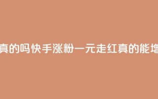 快手一元涨粉1000个是真的吗 - 快手涨粉一元走红，真的能增加1000个粉丝吗？~