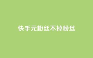 快手1元3000粉丝不掉粉丝 - 快手粉丝增长神器，1元即可获得3000真实粉丝，持久稳定！~