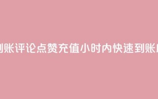 dy评论点赞充值24小时到账 - 评论点赞充值24小时内快速到账，助力网站优化!