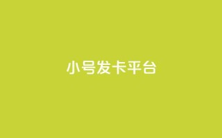 ks小号发卡平台 - ks小号发卡平台全新体验 助力账号安全与成长!