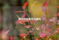搜款网是真实价格吗